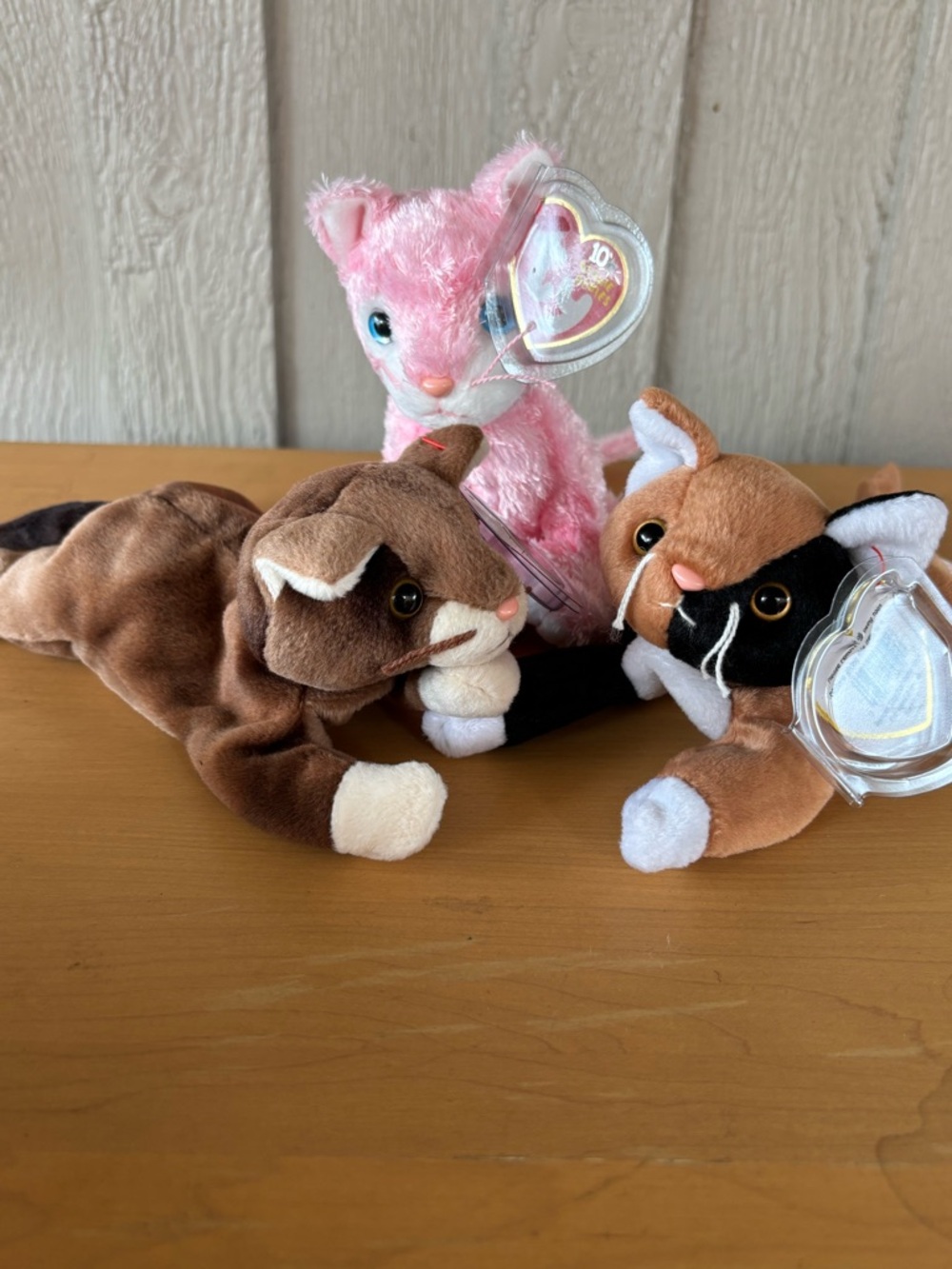 Ty Beanie Babies name Chip, Carnation and Pounce